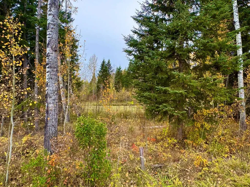 301 Valley View Drive Rural Clearwater County AB T4T 1A7