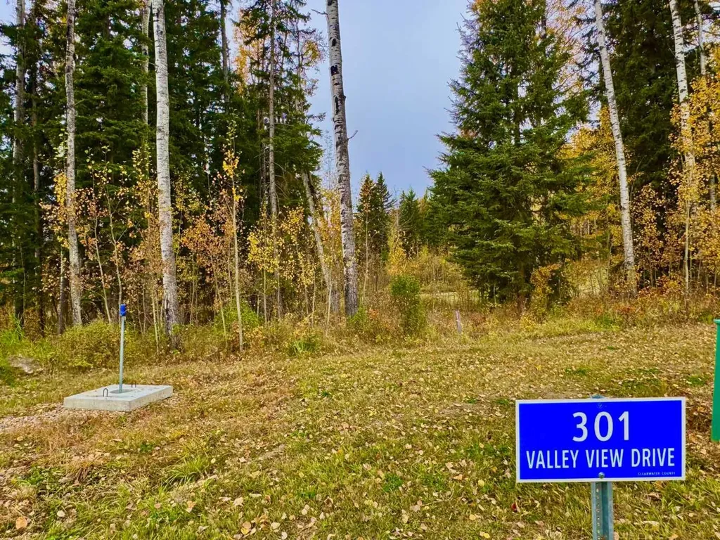 301 Valley View Drive Rural Clearwater County AB T4T 1A7