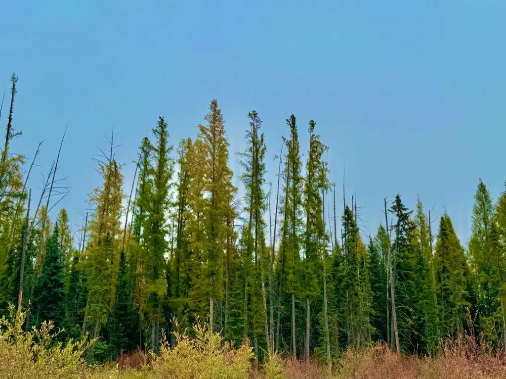 408 Valley View Close Rural Clearwater County AB T4T 1A7