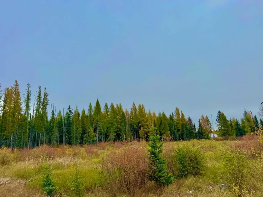 408 Valley View Close Rural Clearwater County AB T4T 1A7