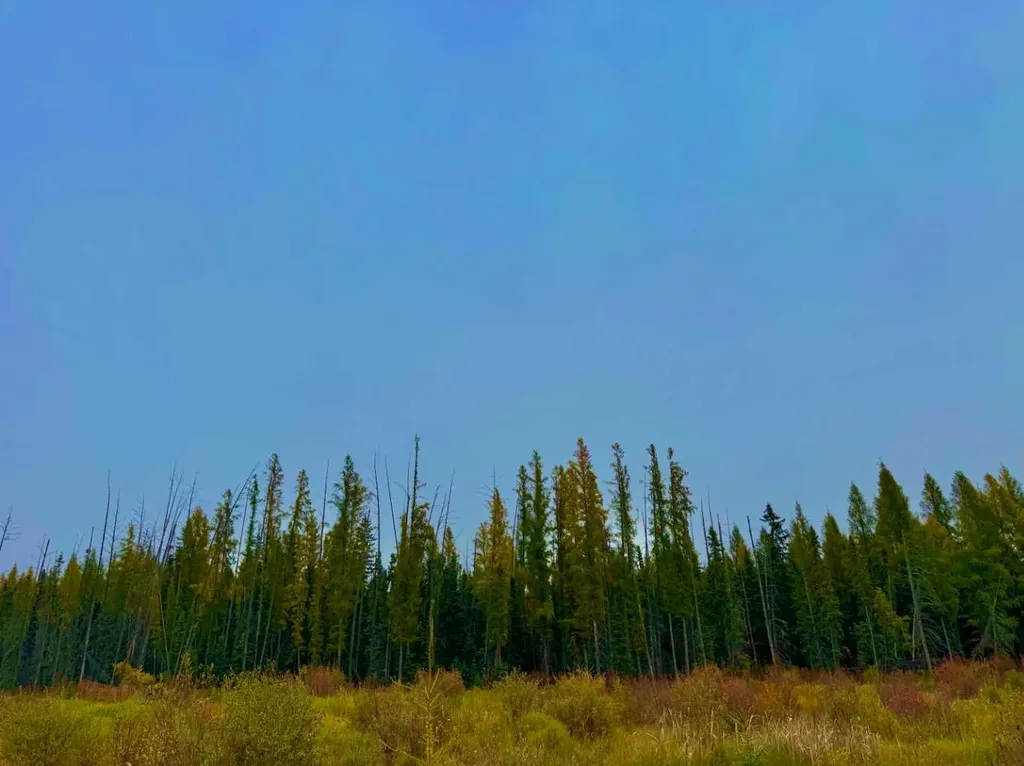 408 Valley View Close Rural Clearwater County AB T4T 1A7