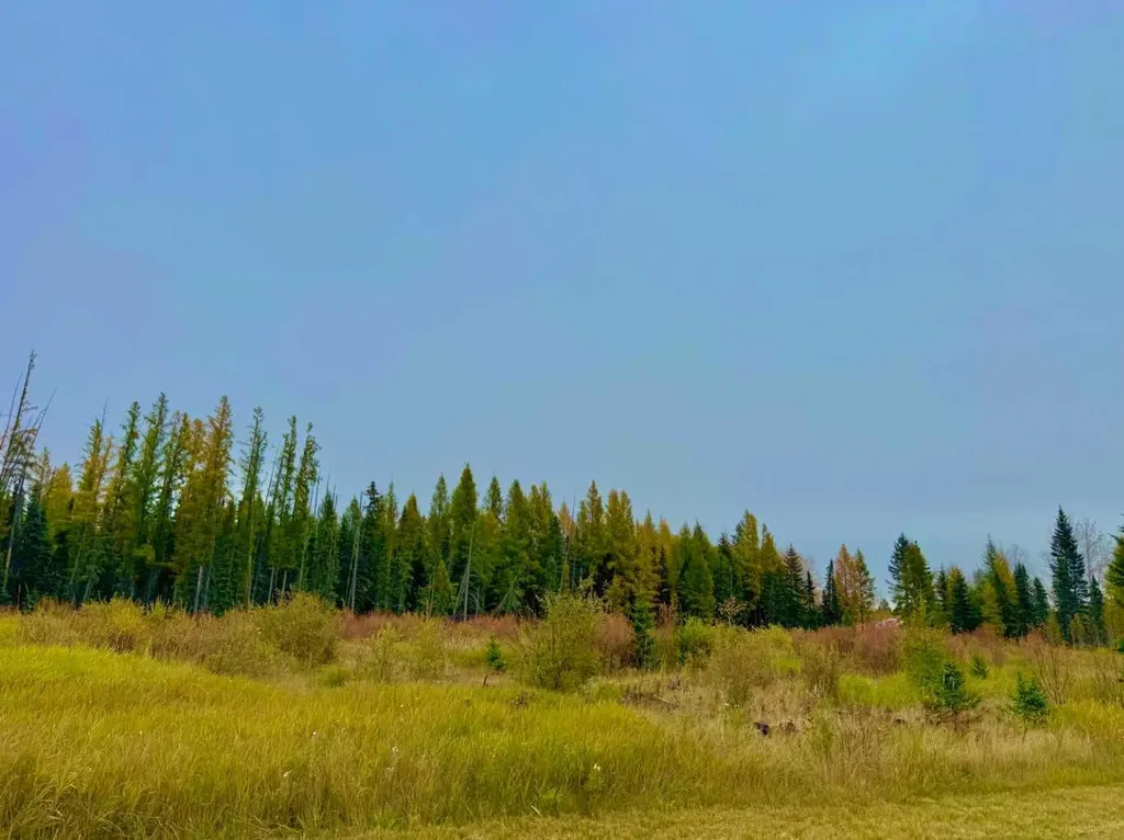 408 Valley View Close Rural Clearwater County AB T4T 1A7