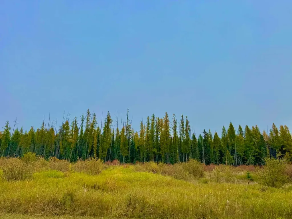 408 Valley View Close Rural Clearwater County AB T4T 1A7