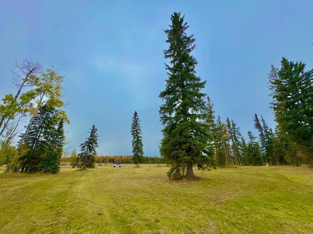 316 Valley View Drive Rural Clearwater County AB T4T 1A7