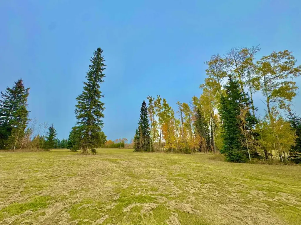 316 Valley View Drive Rural Clearwater County AB T4T 1A7
