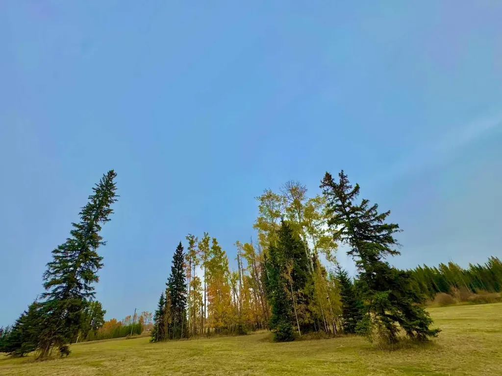 316 Valley View Drive Rural Clearwater County AB T4T 1A7