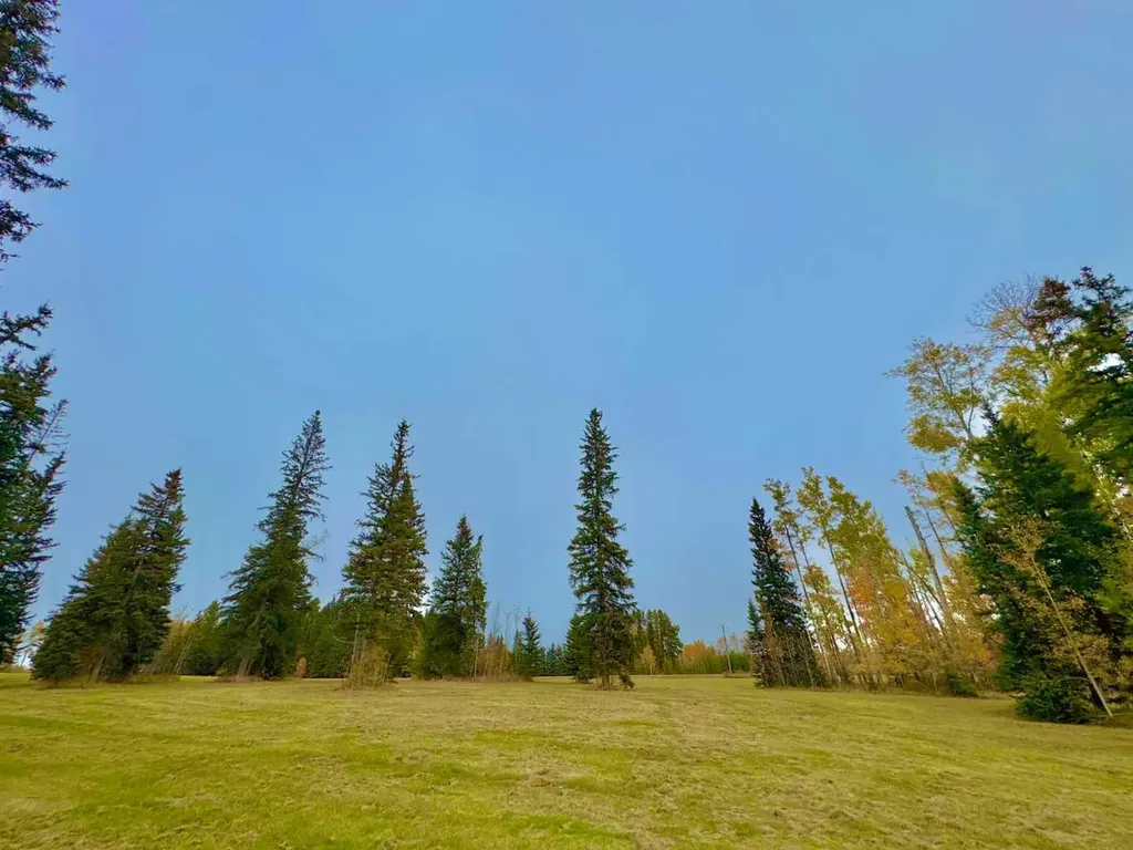 316 Valley View Drive Rural Clearwater County AB T4T 1A7