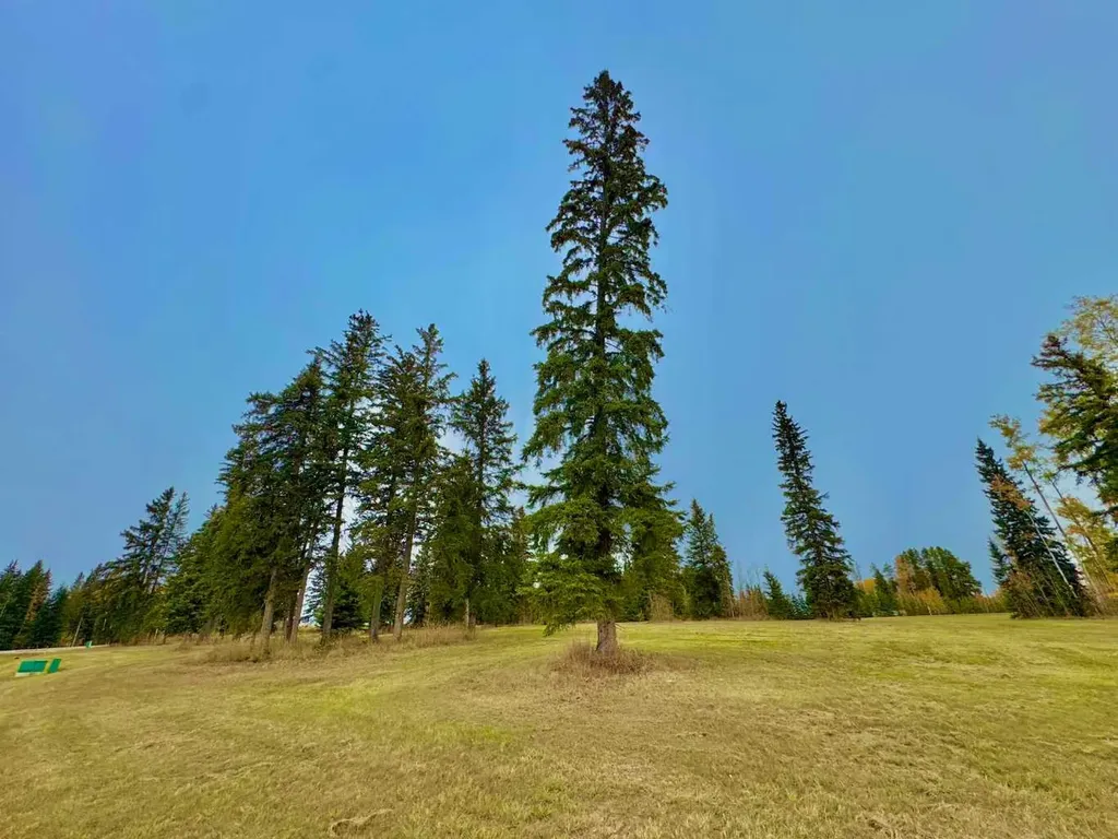 316 Valley View Drive Rural Clearwater County AB T4T 1A7