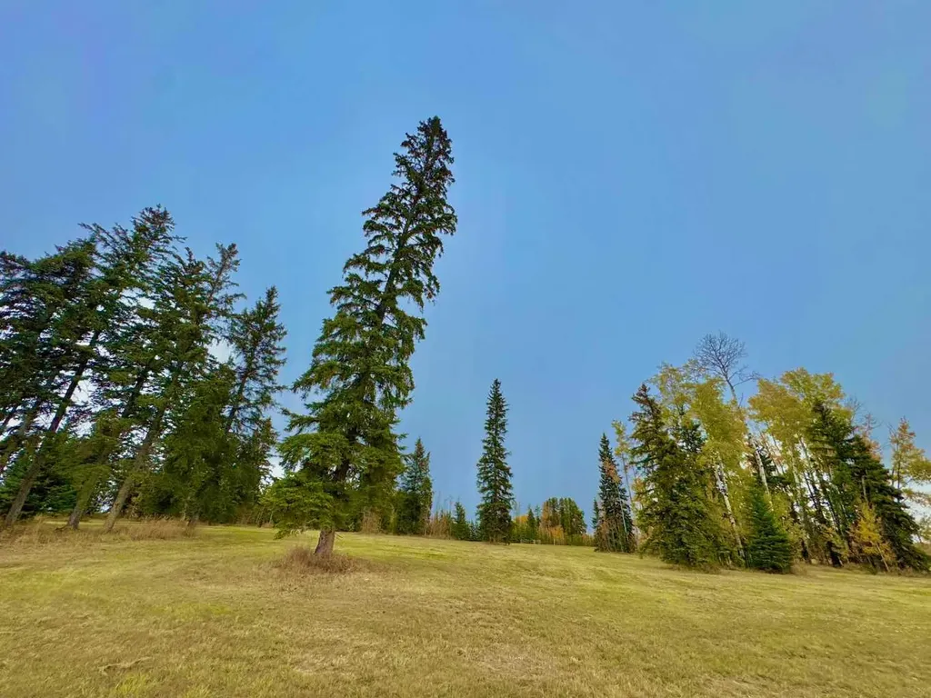316 Valley View Drive Rural Clearwater County AB T4T 1A7
