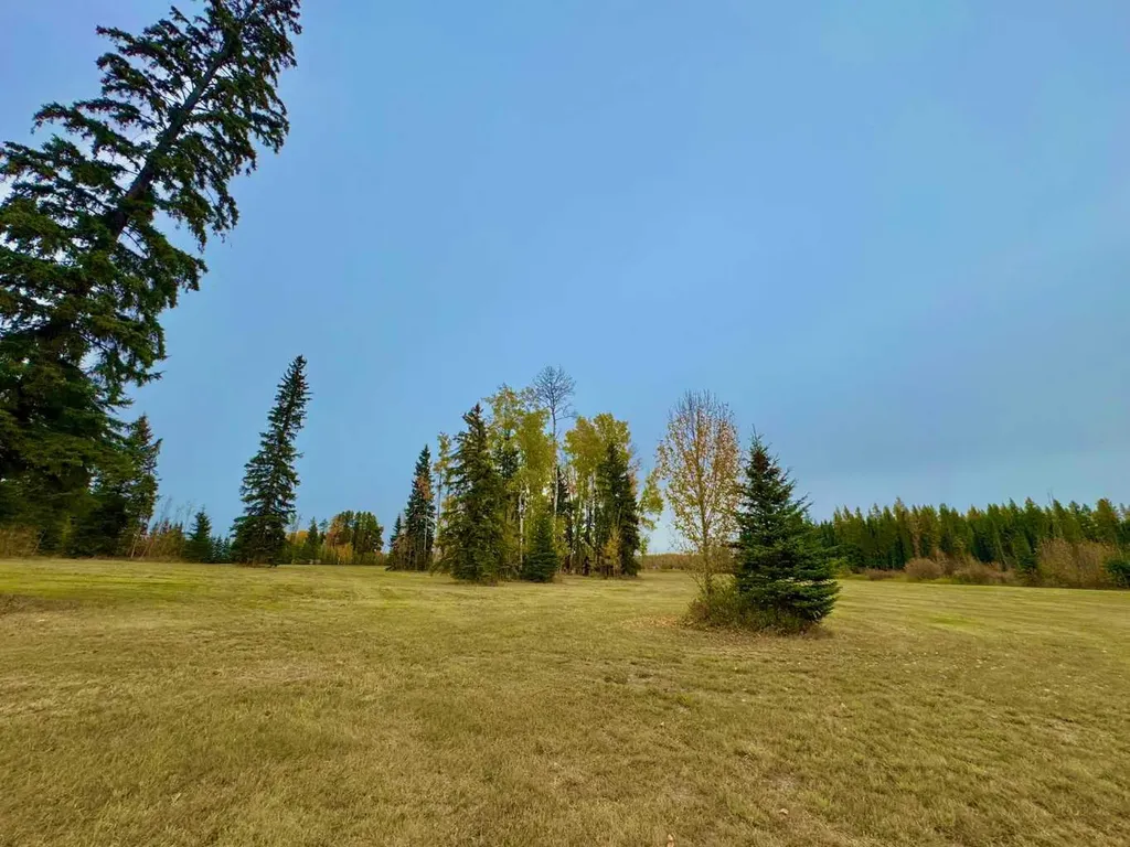 316 Valley View Drive Rural Clearwater County AB T4T 1A7