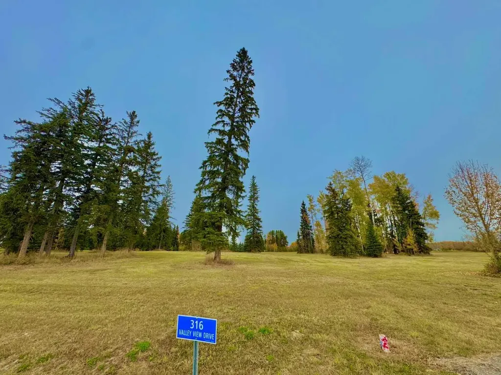 316 Valley View Drive Rural Clearwater County AB T4T 1A7