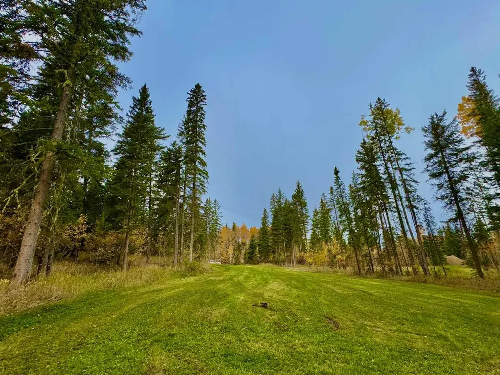 156 Meadow Ponds Drive Rural Clearwater County AB T4T 1A7