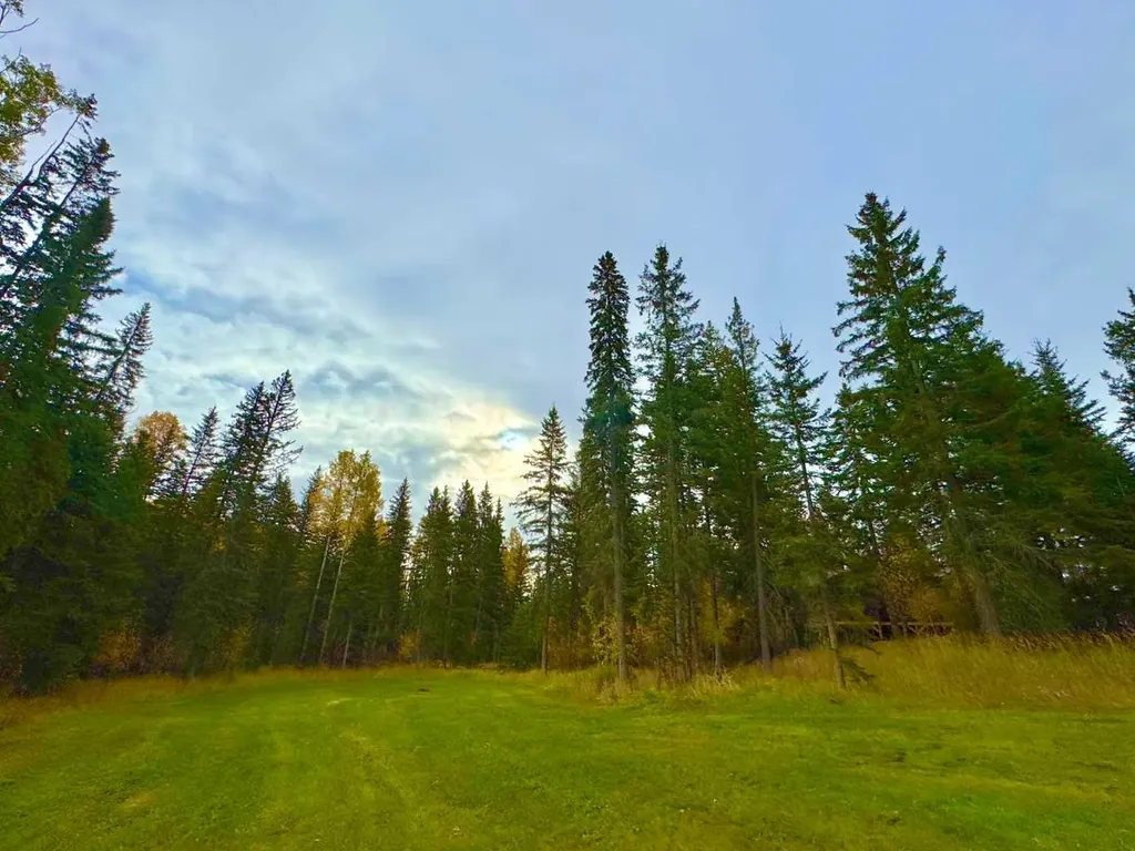 156 Meadow Ponds Drive Rural Clearwater County AB T4T 1A7
