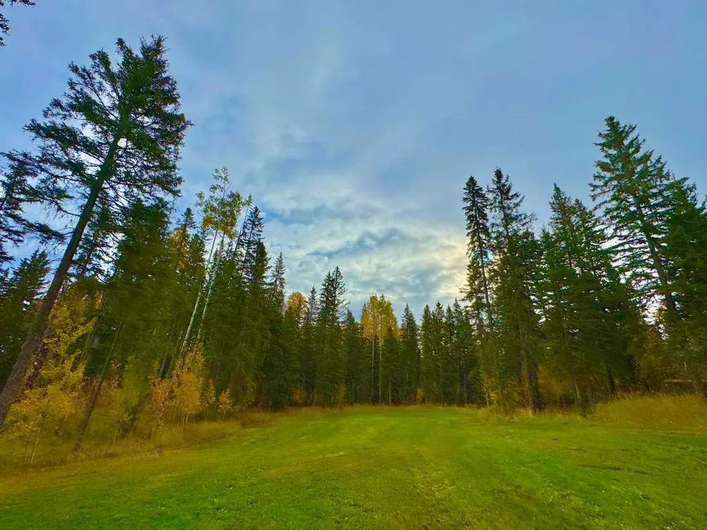 156 Meadow Ponds Drive Rural Clearwater County AB T4T 1A7