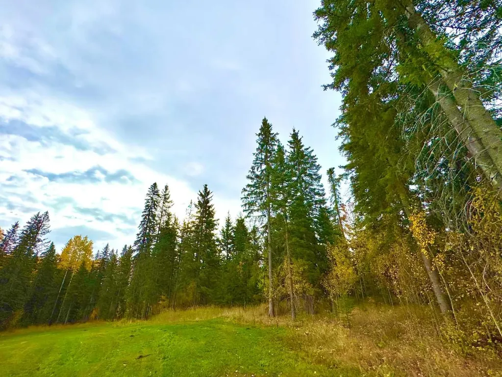156 Meadow Ponds Drive Rural Clearwater County AB T4T 1A7