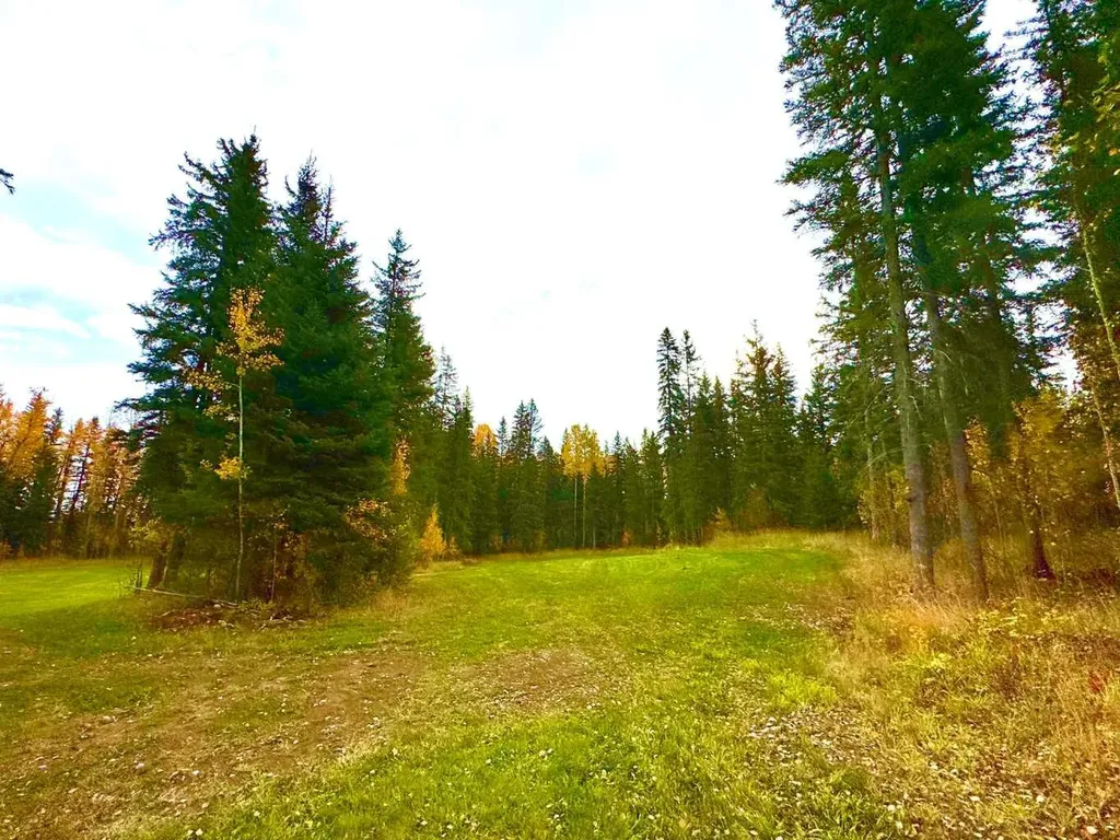 156 Meadow Ponds Drive Rural Clearwater County AB T4T 1A7