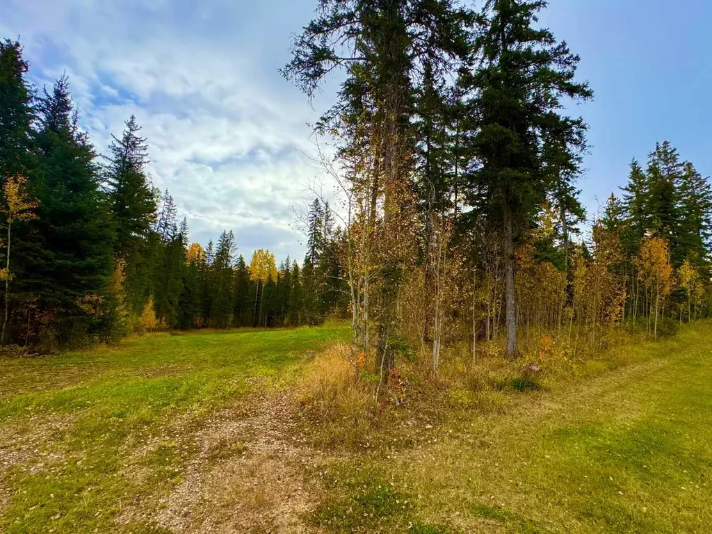 156 Meadow Ponds Drive Rural Clearwater County AB T4T 1A7