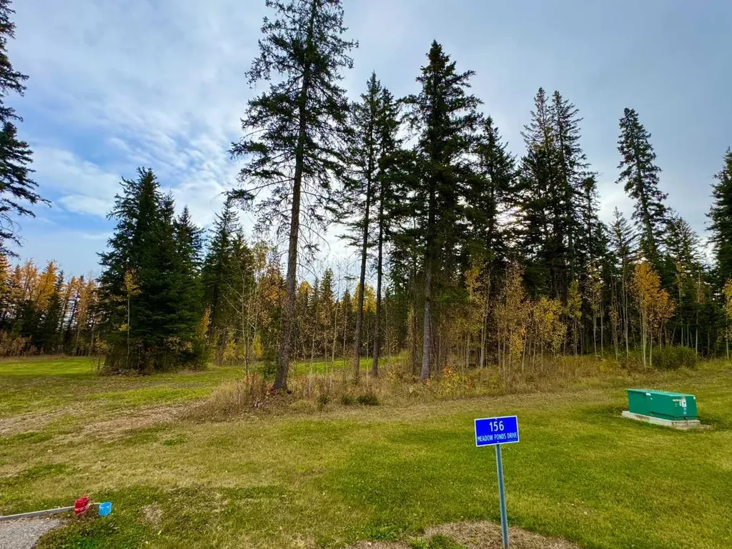 156 Meadow Ponds Drive Rural Clearwater County AB T4T 1A7