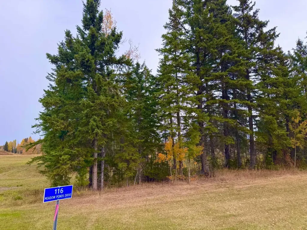116 Meadow Ponds Drive Rural Clearwater County AB T4T 1A7