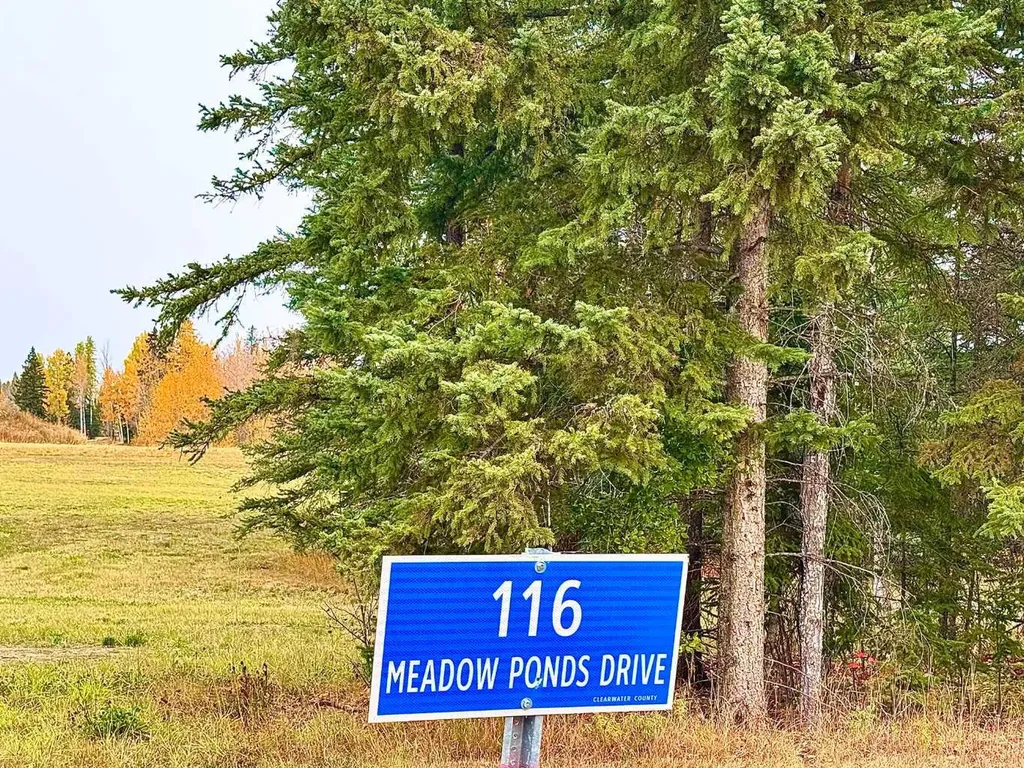 116 Meadow Ponds Drive Rural Clearwater County AB T4T 1A7