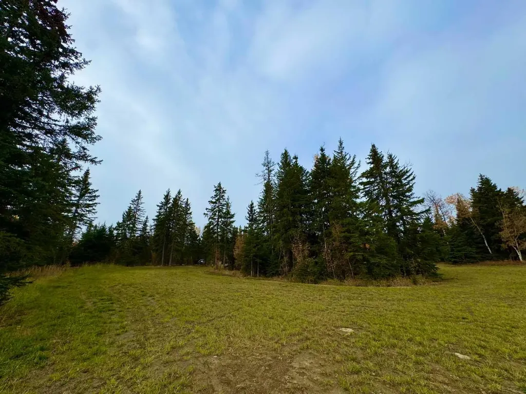 116 Meadow Ponds Drive Rural Clearwater County AB T4T 1A7