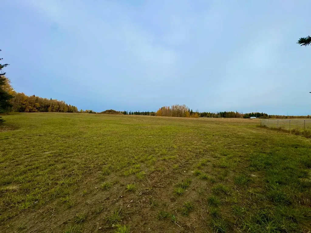 116 Meadow Ponds Drive Rural Clearwater County AB T4T 1A7