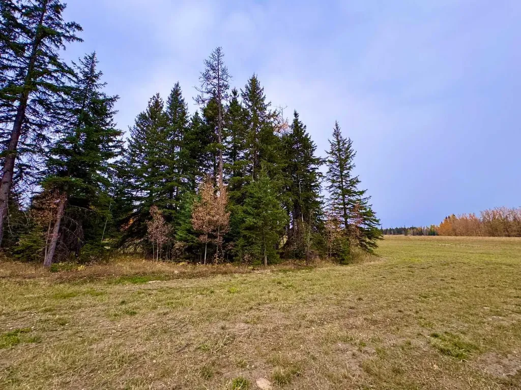 116 Meadow Ponds Drive Rural Clearwater County AB T4T 1A7