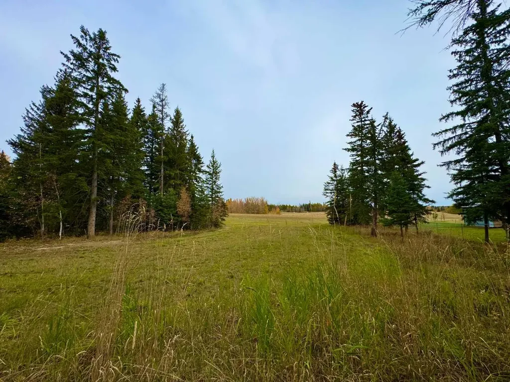 116 Meadow Ponds Drive Rural Clearwater County AB T4T 1A7