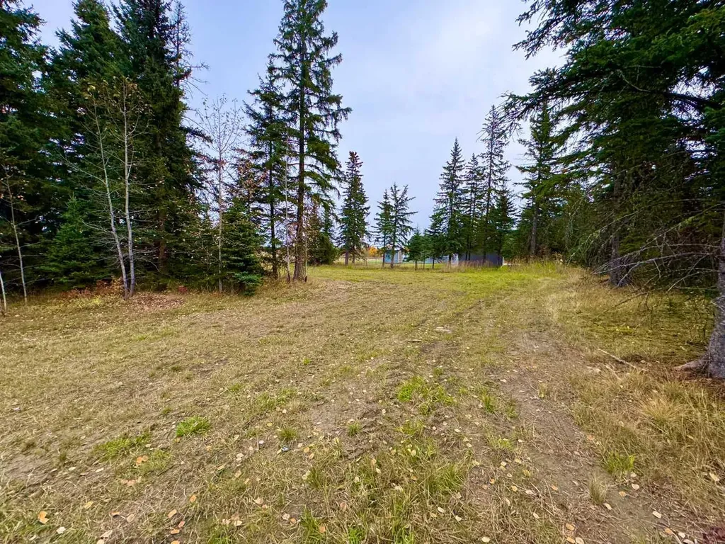 116 Meadow Ponds Drive Rural Clearwater County AB T4T 1A7
