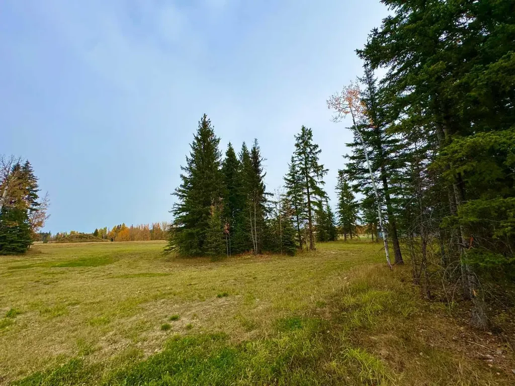 116 Meadow Ponds Drive Rural Clearwater County AB T4T 1A7