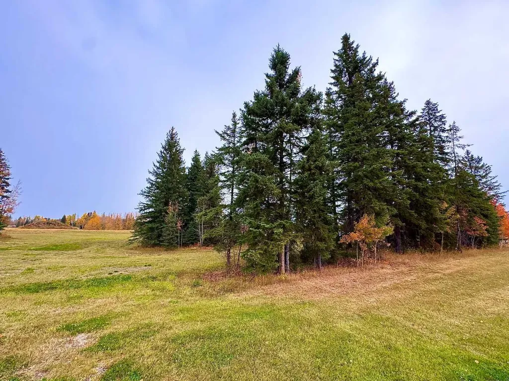 116 Meadow Ponds Drive Rural Clearwater County AB T4T 1A7