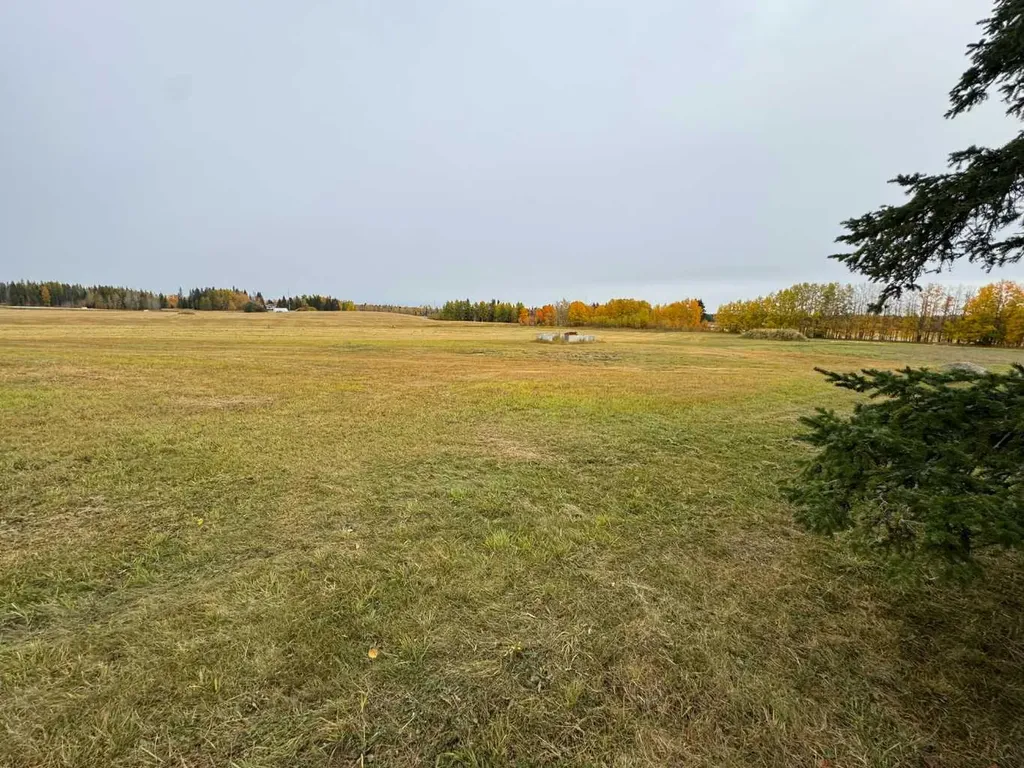 108 Meadow Ponds Drive Rural Clearwater County AB T4T 1A7