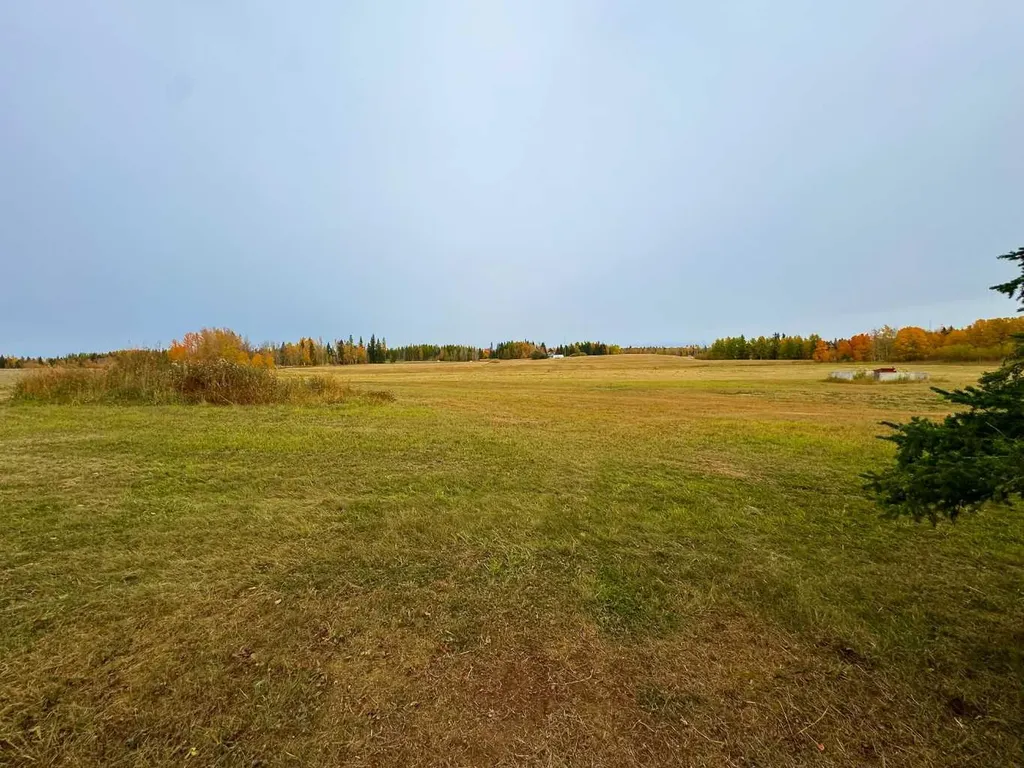 108 Meadow Ponds Drive Rural Clearwater County AB T4T 1A7