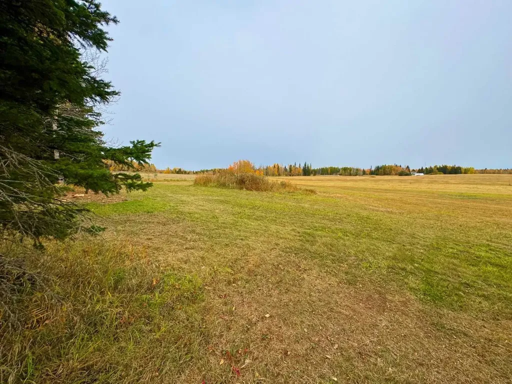 108 Meadow Ponds Drive Rural Clearwater County AB T4T 1A7
