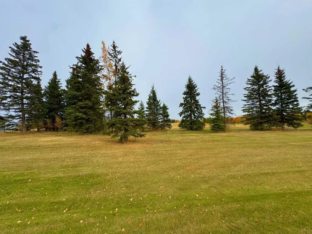 108 Meadow Ponds Drive Rural Clearwater County AB T4T 1A7