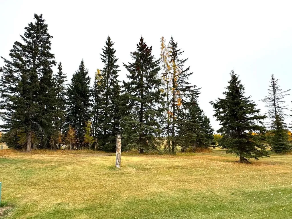 108 Meadow Ponds Drive Rural Clearwater County AB T4T 1A7
