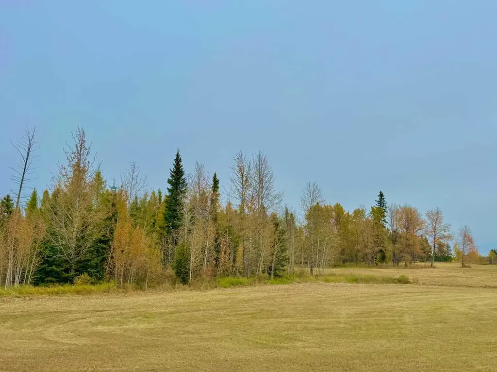 416 Valley View Close Rural Clearwater County AB T4T 1A7