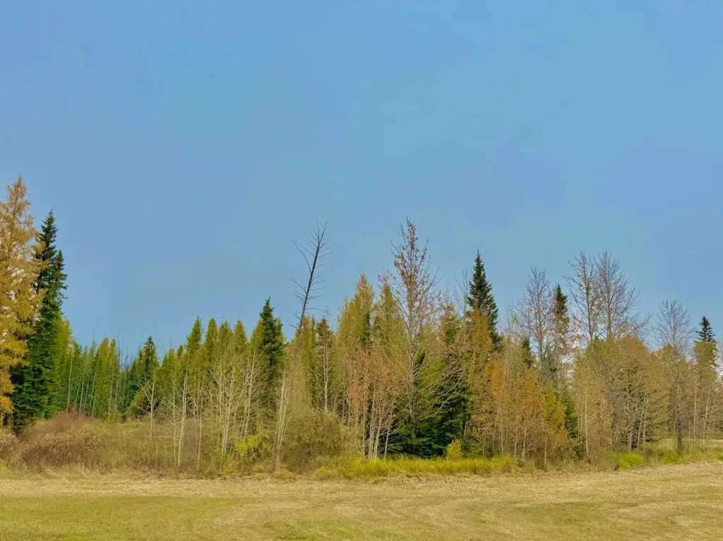 416 Valley View Close Rural Clearwater County AB T4T 1A7