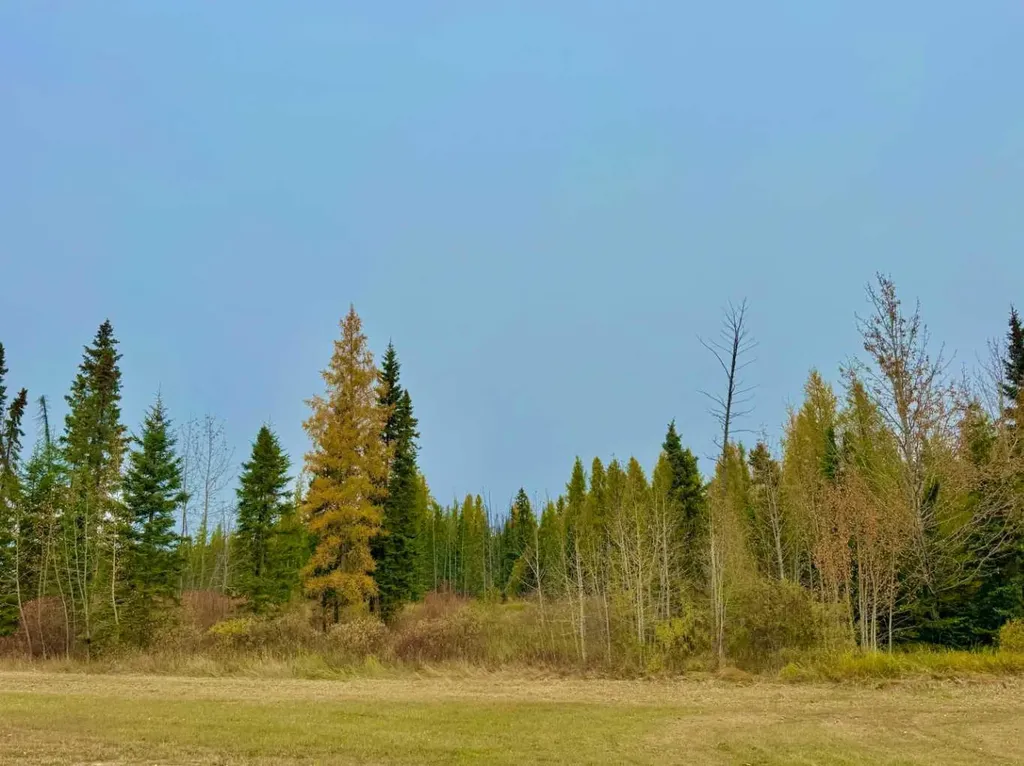 416 Valley View Close Rural Clearwater County AB T4T 1A7