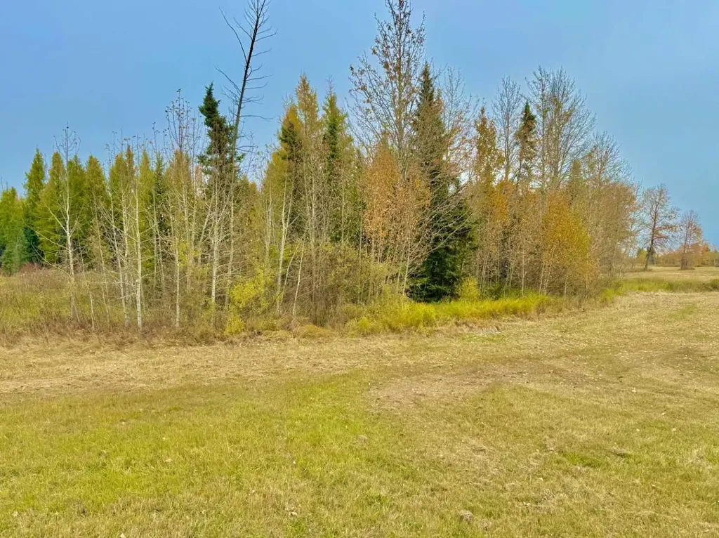 416 Valley View Close Rural Clearwater County AB T4T 1A7