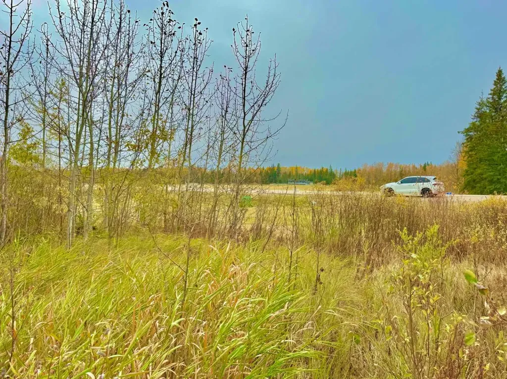 416 Valley View Close Rural Clearwater County AB T4T 1A7