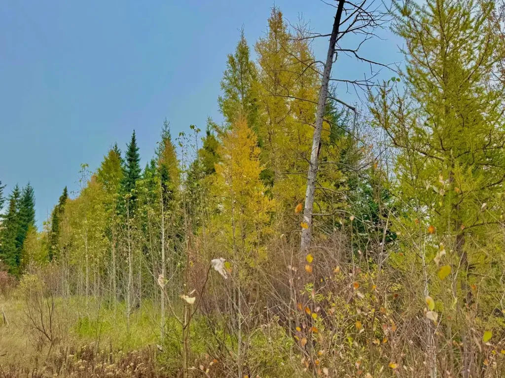 416 Valley View Close Rural Clearwater County AB T4T 1A7