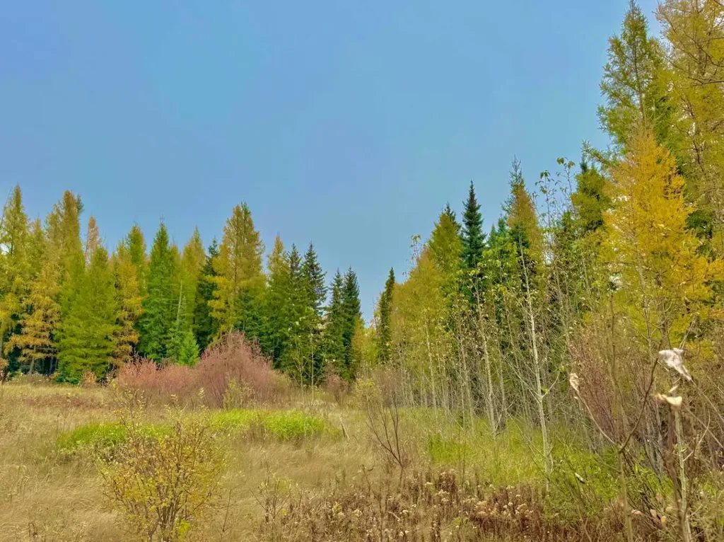 416 Valley View Close Rural Clearwater County AB T4T 1A7