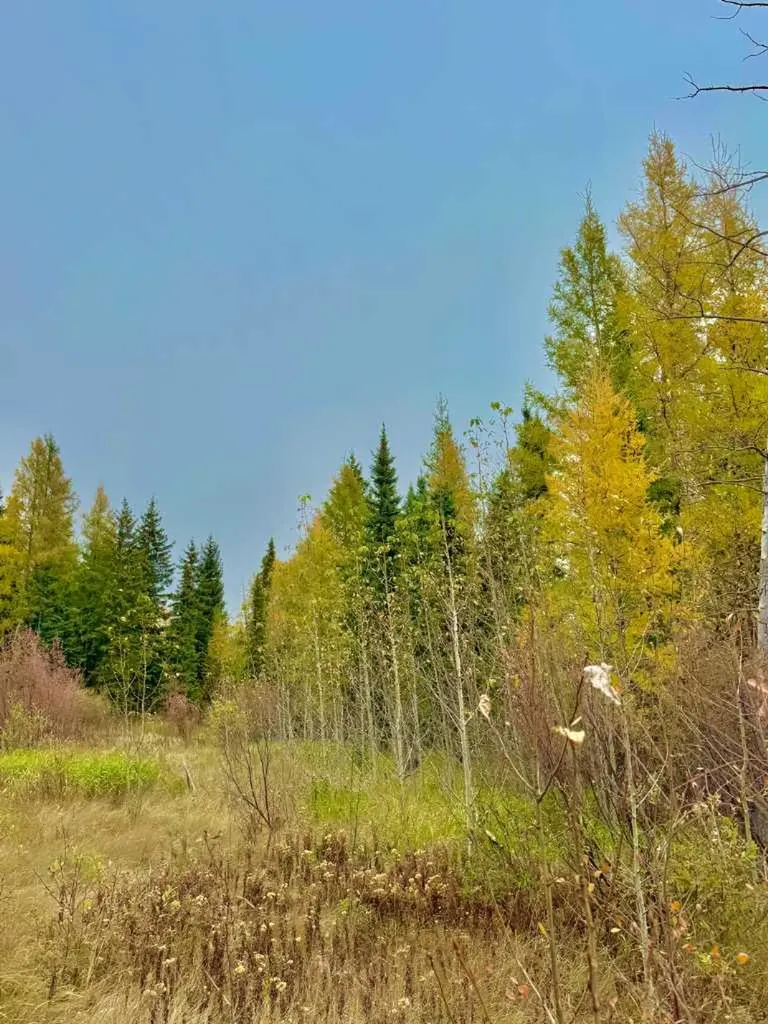 416 Valley View Close Rural Clearwater County AB T4T 1A7