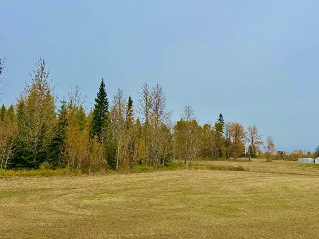 416 Valley View Close Rural Clearwater County AB T4T 1A7