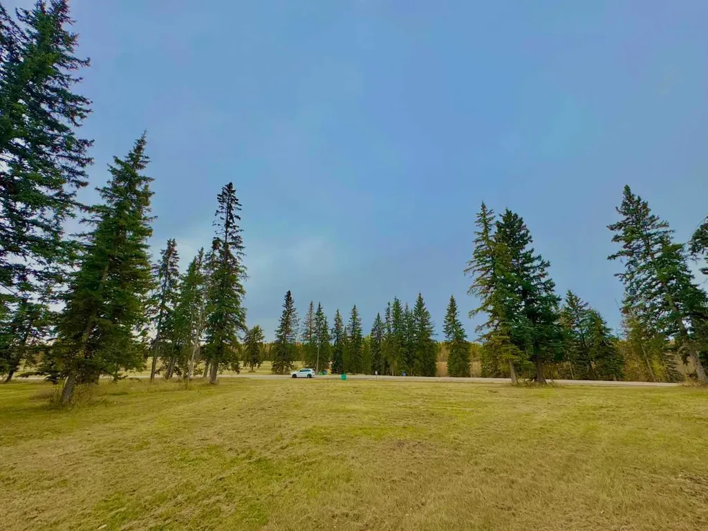 308 Valley View Drive Rural Clearwater County AB T4T 1A7