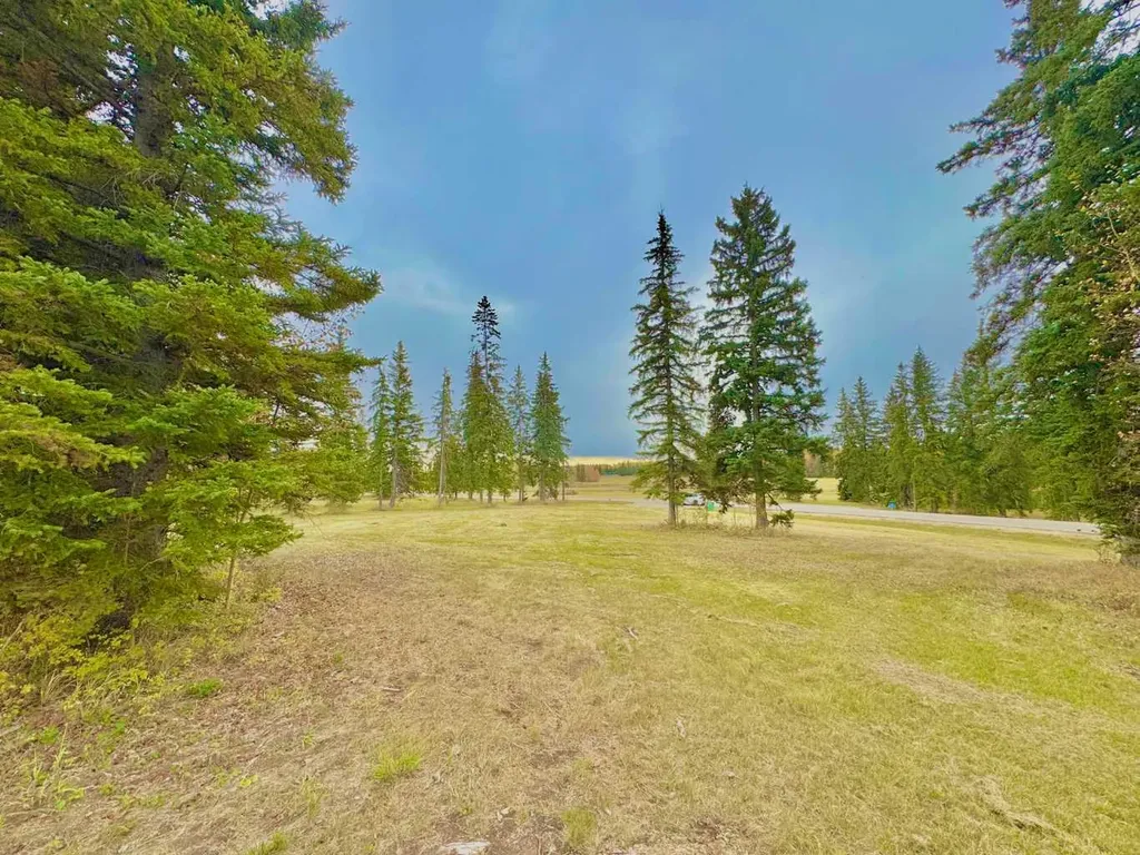 308 Valley View Drive Rural Clearwater County AB T4T 1A7