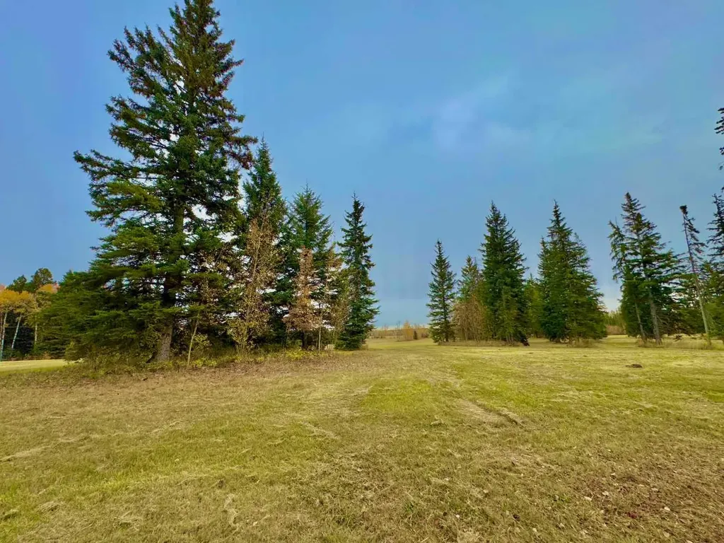 308 Valley View Drive Rural Clearwater County AB T4T 1A7