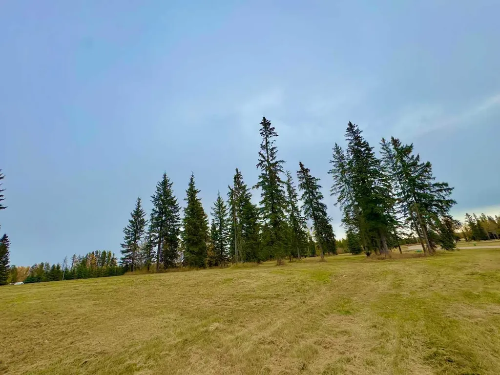 308 Valley View Drive Rural Clearwater County AB T4T 1A7