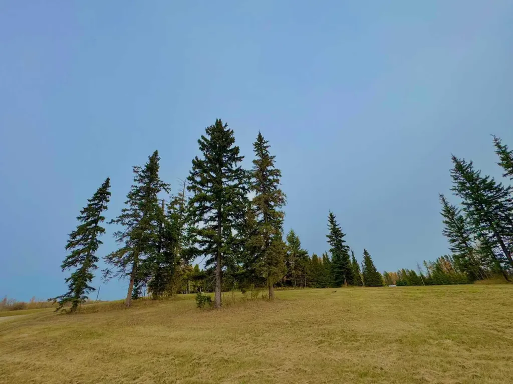 308 Valley View Drive Rural Clearwater County AB T4T 1A7